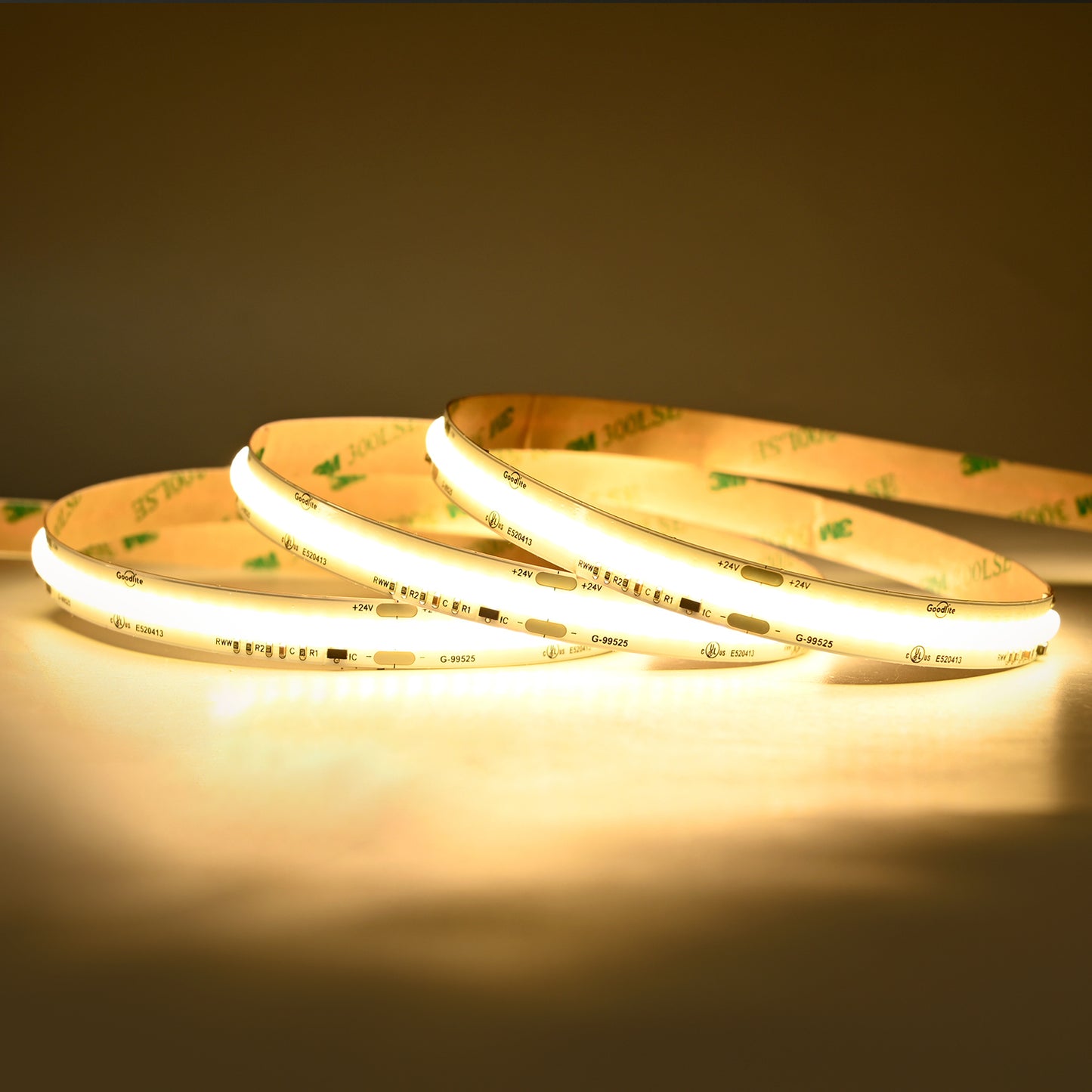 5.5W 24V COB Dim To Warm Tape Light