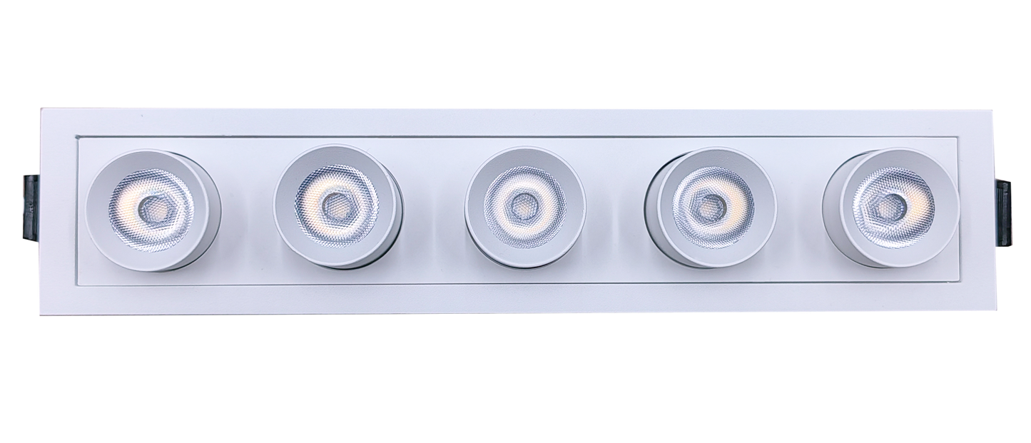 2" Five Head Retractable White