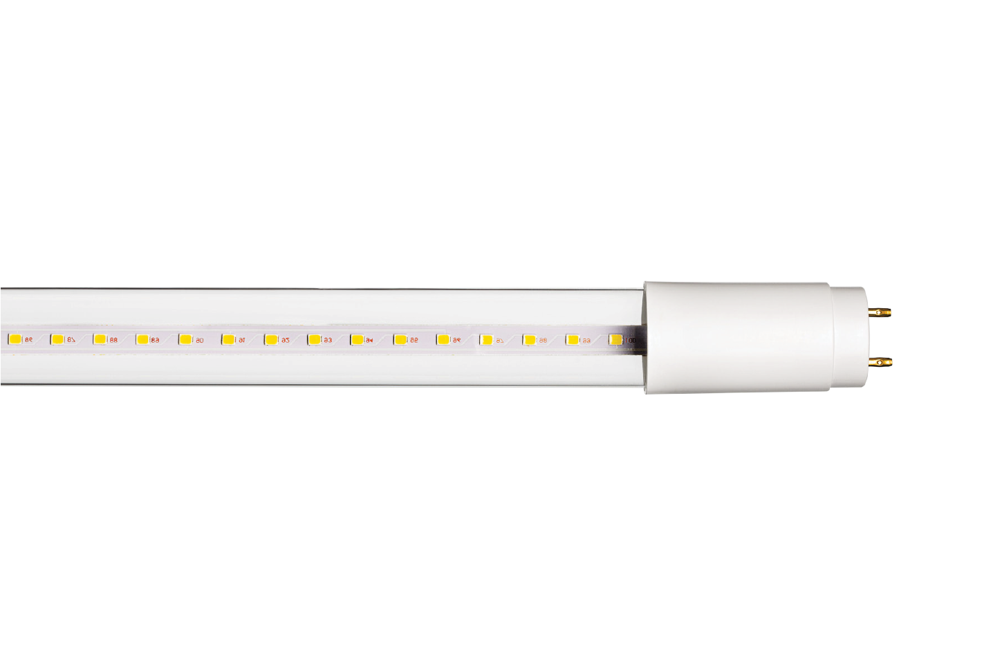 T8 2 Ft Led Universal Clear 6500k