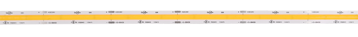 1.5W 24V COB Tape Light 100ft 5000k