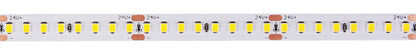 5.5W 24V 2835 Tape Light 5000k