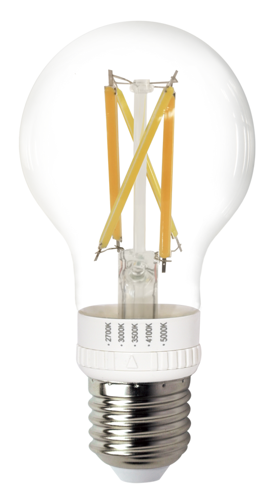 A19 Clear Bulb 5CCT