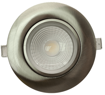 4" Round Flushed Gimbal (Brushed Nickel)