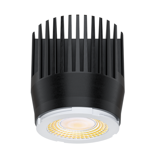 4 Inch 20/32W HO Interchangeable Module