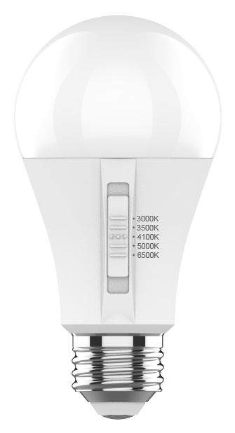 A19 15W Led Bulb 5CCT