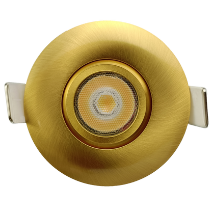 2" Round Flushed Gimbal (Brushed Brass)
