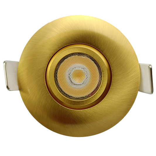2" Round Flushed Gimbal (Brushed Brass)