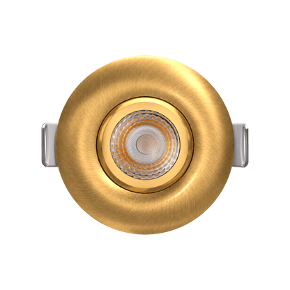 2" Round Flushed Gimbal (Brushed Brass)