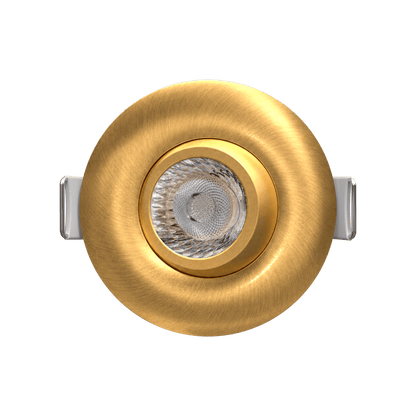 2" Round Flushed Gimbal (Brushed Brass)