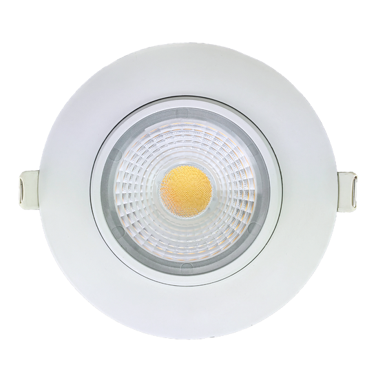 4" Round Flushed Gimbal (White)