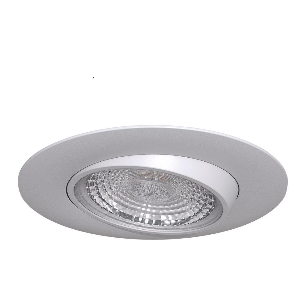 4" Round Flushed Gimbal (White)
