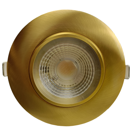 4" Round Flushed Gimbal (Brushed Brass)