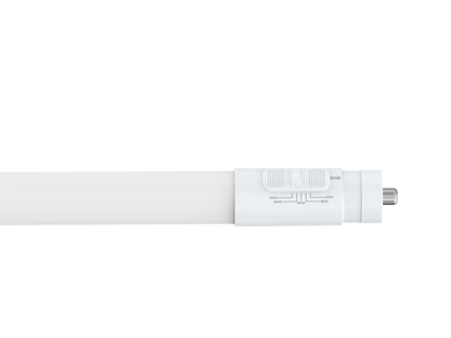 T8 8 Ft Led Bypass Frosted 5CCT
