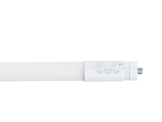 T8 8 Ft Led Bypass Frosted 5CCT