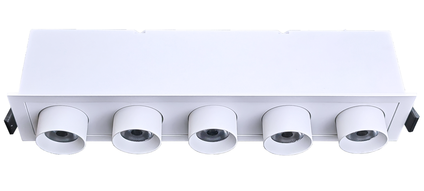 2" Five Head Retractable White