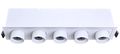 2" Five Head Retractable White