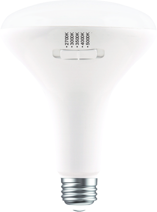 BR30 Led Bulb 5CCT
