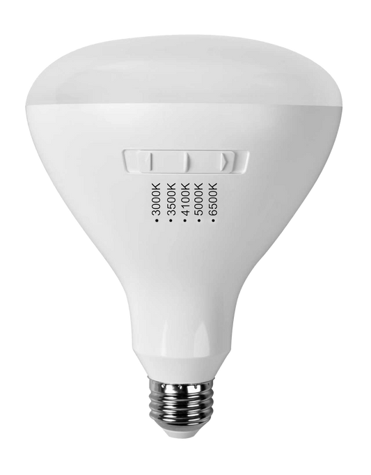 BR40 Led Bulb 5CCT