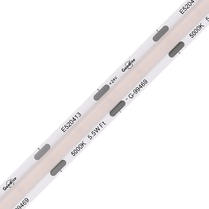 5.5W 24V SOB Tape Light 100ft 5000k