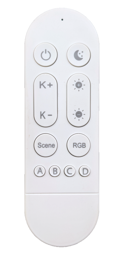 RGBWW Remote