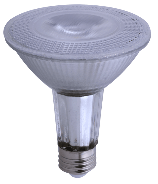 PAR 30 Led Bulb 5000k