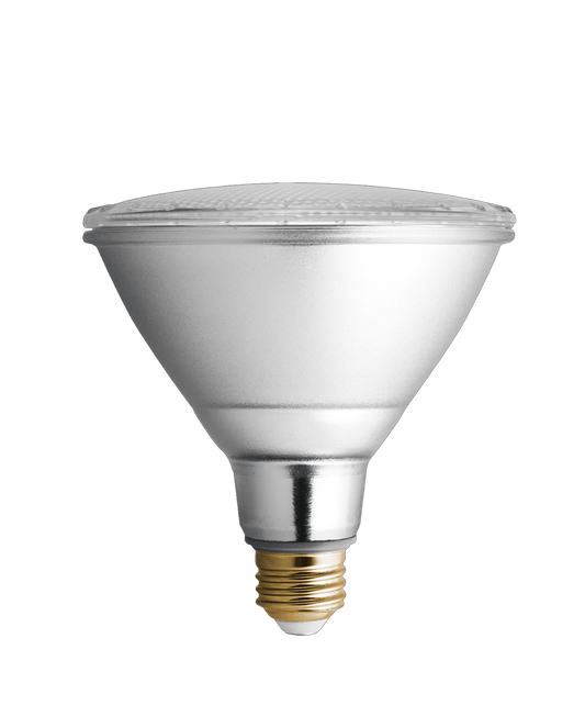 PAR 38 Led Bulb 5000k