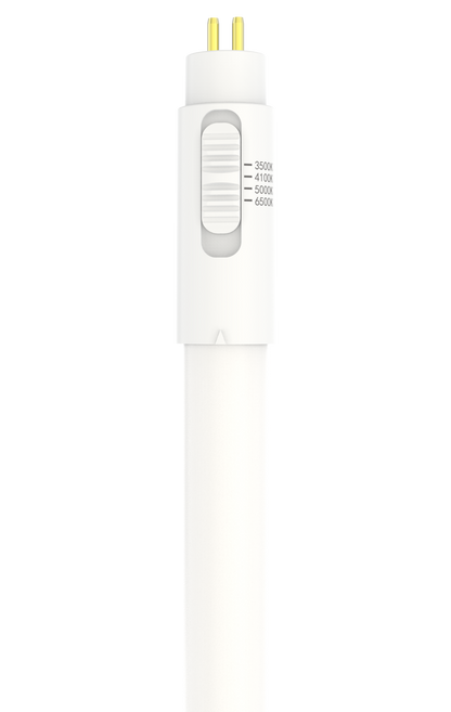 T5 4 Ft Led Ho Bypass 4CCT